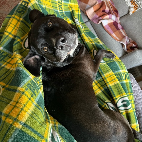 Meet your Posher, Ashley - Picture 2 of 6